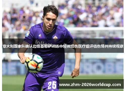 意大利国家队确认边锋基耶萨训练中轻微扭伤医疗组评估伤情并持续观察 意大利国家队确认边锋基耶萨训练中轻微扭伤医疗组评估伤情并持续观察